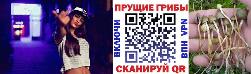 Галлюциногенные грибы ЛСД  где купить   Качканар 